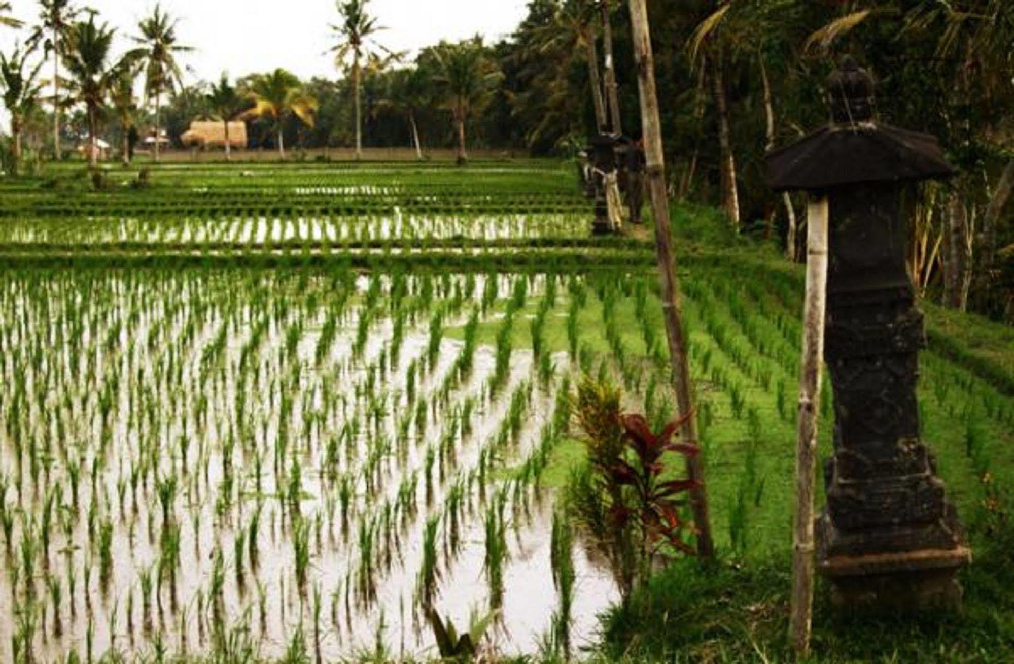 Puri Lotus Hotel Ubud  Exterior photo